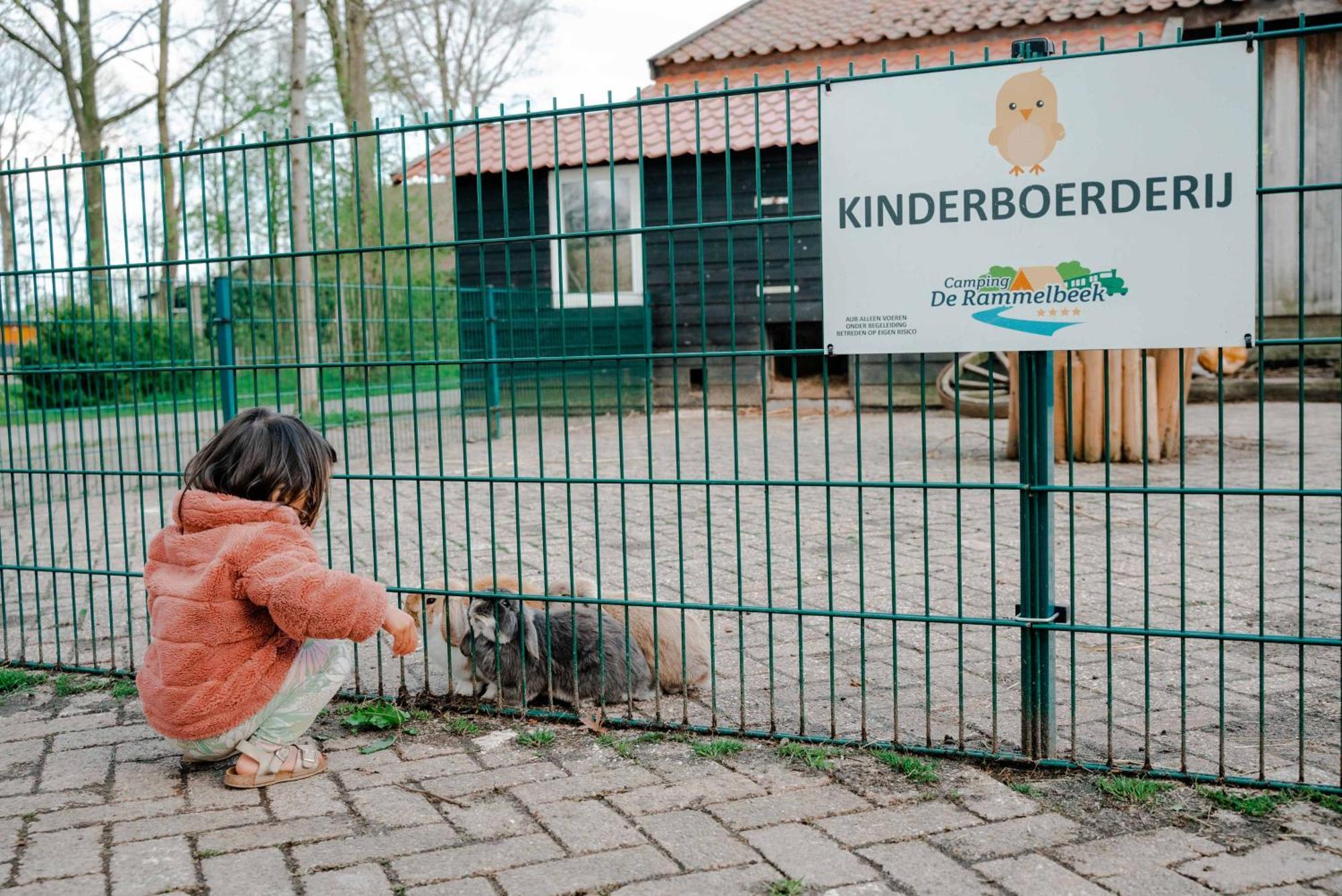 Camping De Rammelbeek Lattrop Exterior photo
